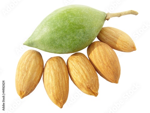 Photo: Image of raw green almond with alomnd nuts Image of raw green almond with alomnd nuts