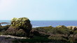 Vídeo : Green rocks on the beach Green rocks on the beach