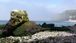 Green rocks on the sea shore