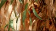 Eucalyptus leaves over blured tree background