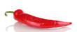 Red hot chili pepper isolated on white