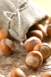 Hazelnuts (filbert)