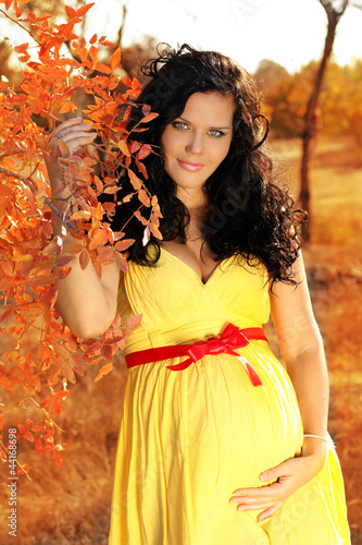 Photo: Young beautiful pregnant woman in autumn Young beautiful pregnant woman in autumn