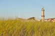 Warnemünde Leuchtturm Teepott