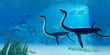 Illustration: Plesiosaurus Dinosaur Plesiosaurus Dinosaur