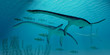 Illustration: Plesiosaurus Migration Plesiosaurus Migration