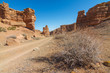 Charyn Canyon near the Almaty city in Kazakhstan
