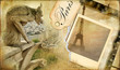 vintage almum - memories about Paris