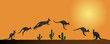 Kangaroo in different stages at sunset