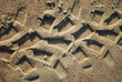 Cruisin' tracks in the sand