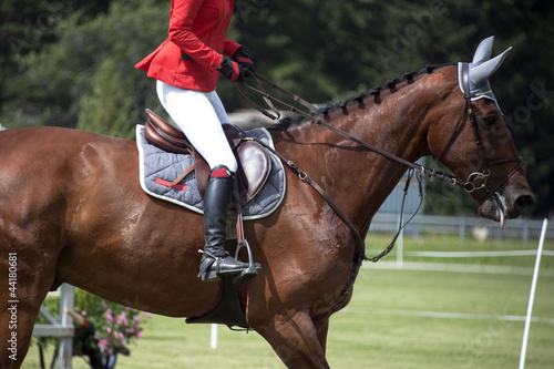 Photo: horsewoman in uniform horsewoman in uniform
