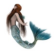 Illustration: 人魚 人魚