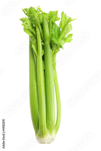 Photo: Celery Celery