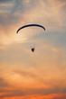 Paraglider - Feeling free on the sky