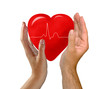 heart between hands
