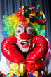 Clown with boxing gloves