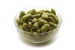 Vicia faba  Fabo  Geöffnete باقلا