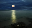 Moonlight