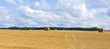 field