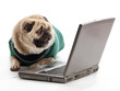 Technology Pug