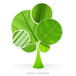 my company vegetal arbre