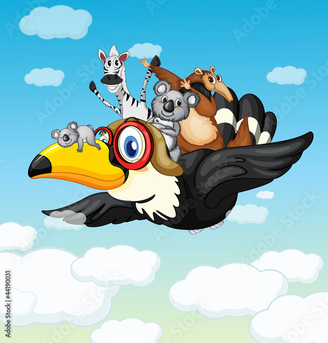 Vector: various animals various animals