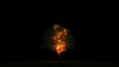 Video: Burning tree with alpha Burning tree with alpha