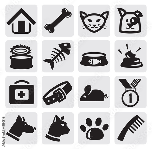 Vector: dogs and cats set dogs and cats set