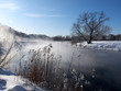 Winter landscape