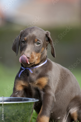 Photo: Es schmeckt Es schmeckt