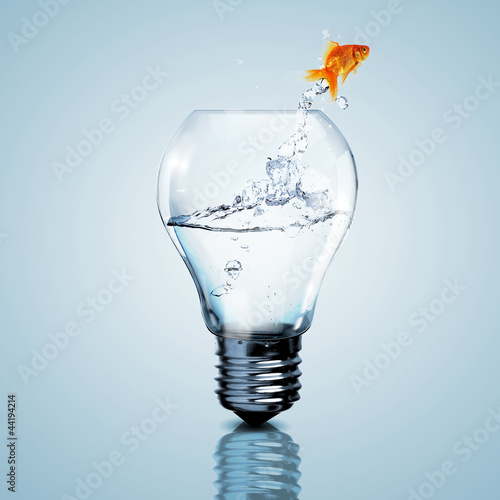 Photo: Gold fish inside an electric bulb Gold fish inside an electric bulb