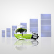 Electric light bulb and a plant inside it