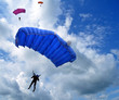 Skydivers in the sky