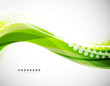 Vector flowing wave line background