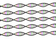 DNA STRAND genetic genome on white