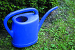 Blaue Gießkanne