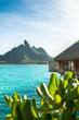 Bora bora background