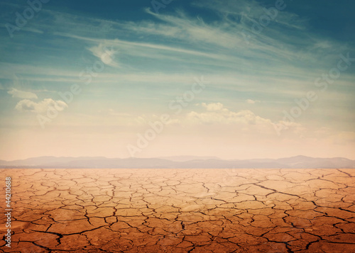 Photo: Desert Desert