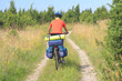 Cyclist on a cart-road between junipers