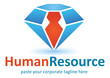 Diamond Human Resource logo