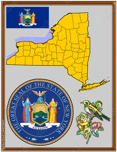 Vector: USA state New York flag map coat bird USA state New York flag map coat bird
