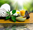 Spa treatment