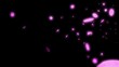 Video: HD Looping Cherry Blossoms Animation with Alpha Channel HD Looping Cherry Blossoms Animation with Alpha Channel