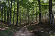 Foto: Parco Nazionale d'Abruzzo Parco Nazionale d'Abruzzo