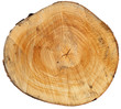 Trunk