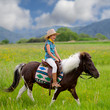 Horse riding - lovely girl is riding a pony