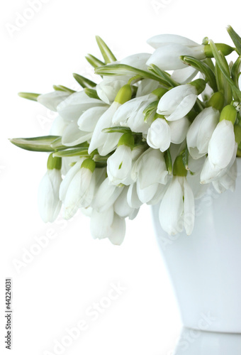 Photo: beautiful bouquet of snowdrops in vase isolated on white beautiful bouquet of snowdrops in vase isolated on white