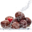 olive splash
