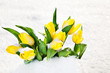 Tulips in the snow