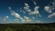forest and clouds time lapse
